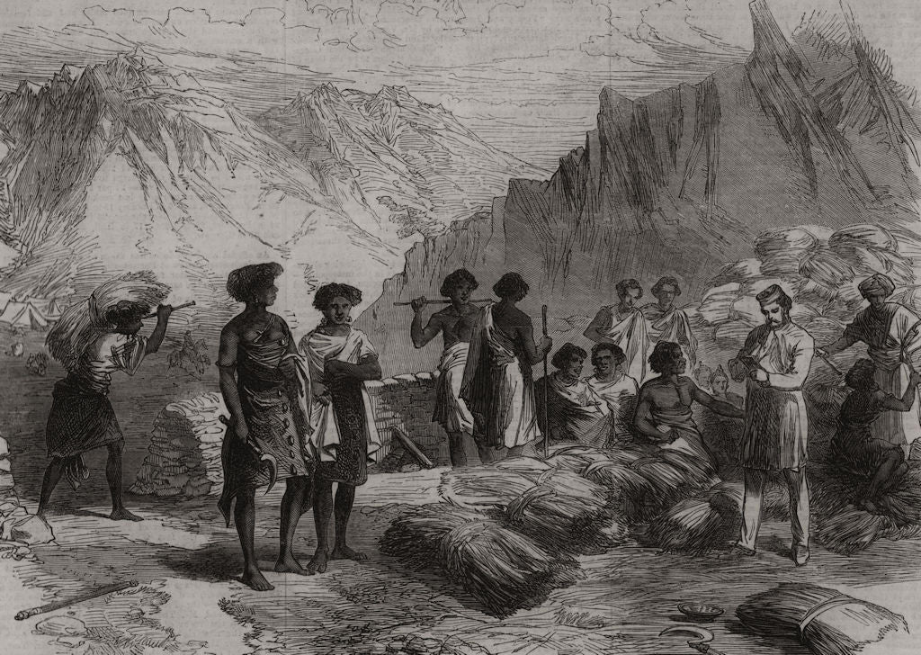 Abyssinia Expedition. Shohos at Commissariat, Undel Wells. Ethiopia 1868 print